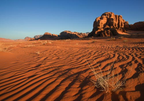 Tweet R8/8 - Il deserto